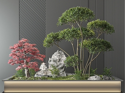 植物小景