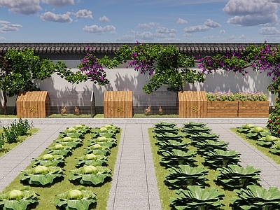 现代乡村庭院 菜地 鸡窝