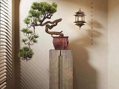 新中式盆景 盆景 松树 花盆 迎客松