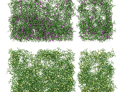 牵牛花藤蔓栅栏 院墙藤本植物爬藤栅栏围墙 爬山虎藤蔓爬藤绿植墙