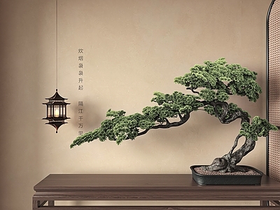 松树盆景 古建筑