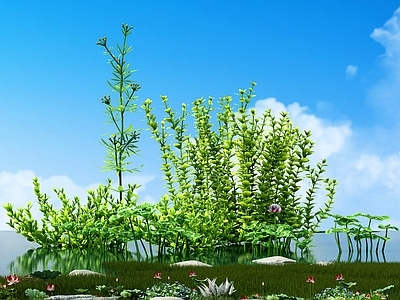草 现代花草