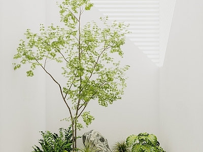 现代景观造景 小景 苔藓