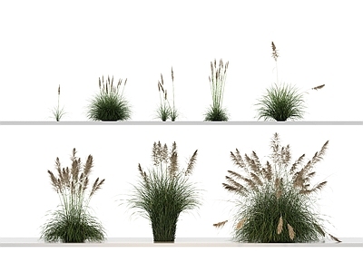 花草组合 绿植 乔木 植物 绿植 花 草