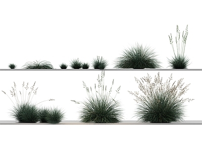 花草组合 绿植 乔木 植物 绿植 花 草