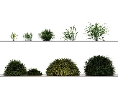 花草组合 绿植 乔木 植物 绿植 花 草