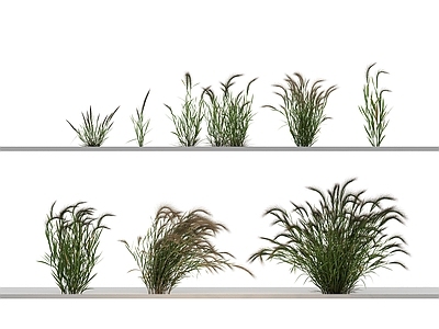 花草组合 绿植 乔木 植物 绿植 花 草