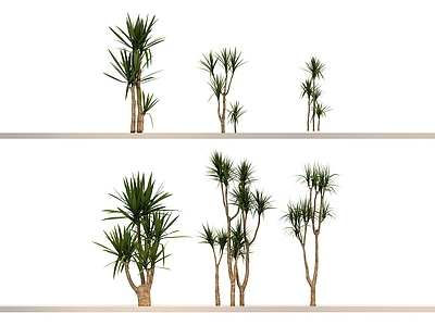 其他绿植 乔木 植物 花 草