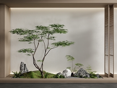 现代室内景观造景 庭院小品 植物组合 石头 鹅卵石 植物堆