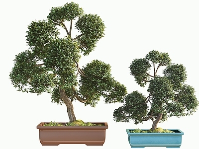 新中式盆景 景观 绿植 植物堆 代盆栽 花盆 盆景 微景观 绿植造景