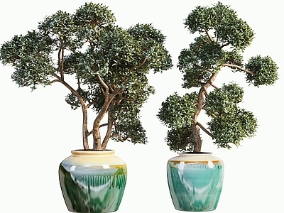 新中式盆景 植物堆 代 花盆 盆景 微 造景