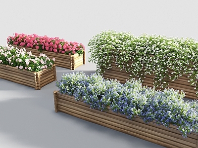 现代花箱 花池 植物 爬藤植物