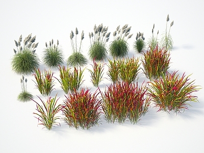 花草组合