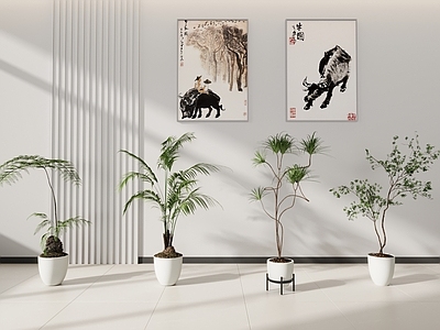 盆栽 植物 灌木室内植物摆件