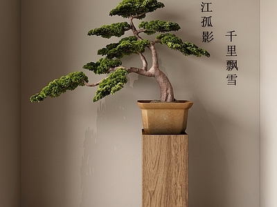 新中式松树盆景