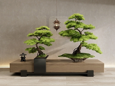 新中式松树盆景 罗汉松 松树 迎客松 柏松 景观树