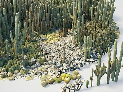 植物 热带灌木 巨柱仙人掌巨人柱仙人掌金琥
