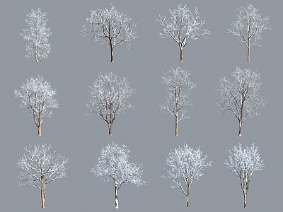 雪景树 落叶树 枯树 树杆