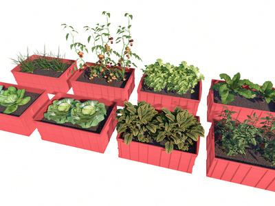 现代菜园 蔬菜植物 旧塑料篮子 废物利用 一米菜园