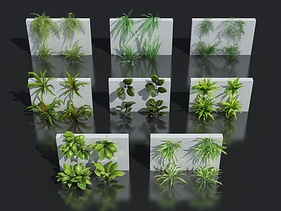 花卉花草组合 灌木 花草 室外鲜花绿化 植物墙