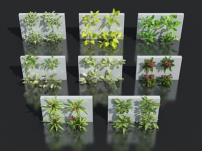 花卉花草组合 灌木 花草 室外鲜花绿化 植物墙