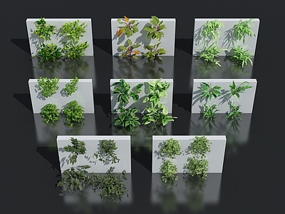 花卉花草组合