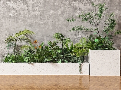 现代植物花箱 小景