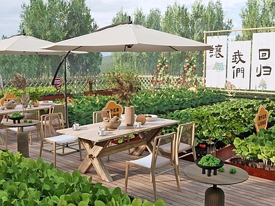 现代乡村菜地菜园庭院 乡村院落 共享农场 一米菜园 田地蔬菜 田园农家乐