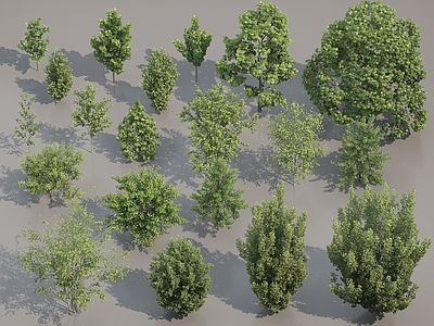 绿色植物合集