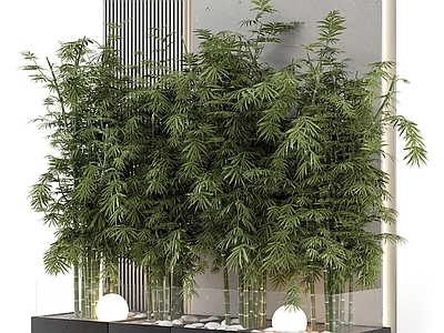 竹子造景 植物景观小品