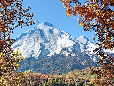 现代雪山湖泊场景 秋季植物