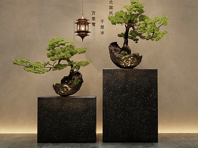 新中式松树盆景 松树