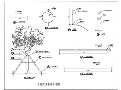 乔木起挖种植支撑方式大树支撑系统图 施工图