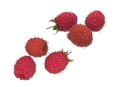 水果蔬菜 树莓