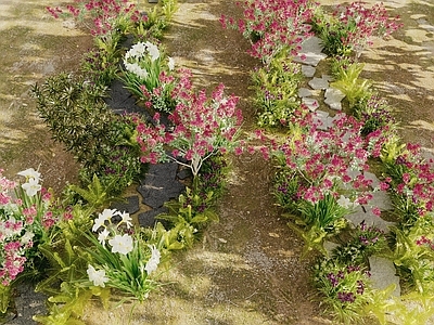 植物花草组合