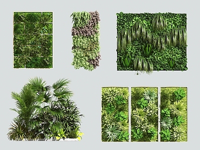 植物墙 绿植墙