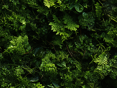 无缝地下绿植墙