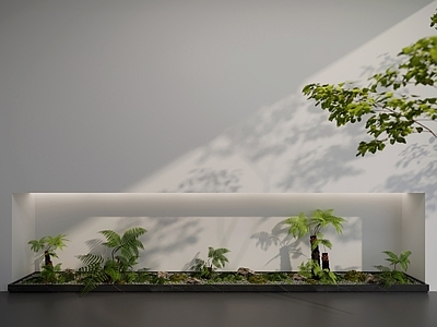 现代室内景观造景 景观造景 植物景观 景观小品 蕨类植物 植物造景