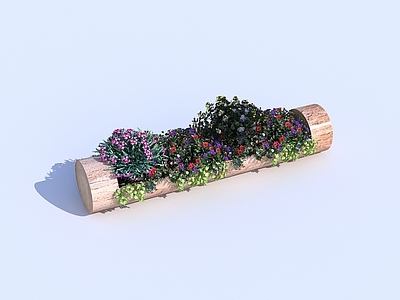 现代花箱