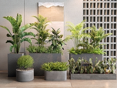 现代植物花箱 植物组合 花池 花槽