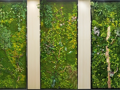 植物墙 绿植 装饰