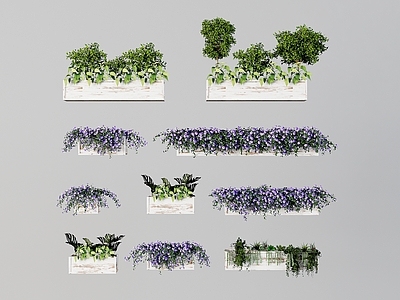 现代花箱  花卉