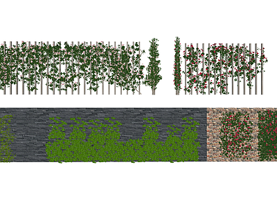 爬藤 藤蔓 月季 爬虎 蔷薇 墙 墙