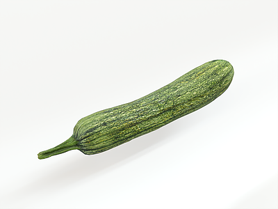 西葫芦 南瓜 木瓜 土豆瓜 慈姑 黄瓜苗 水果蔬菜 食品食物