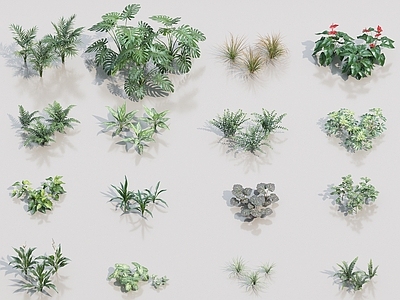 花草组合
