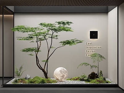 现代室内景观造景 庭院小品 植物组合 月球灯 鸡爪槭 植物堆 枯山水