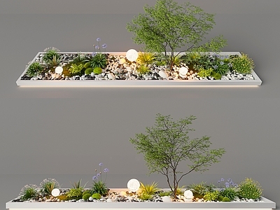 现代室内组团小景 现代植物堆 球形灌木 苔藓球 带花灌木植物组合