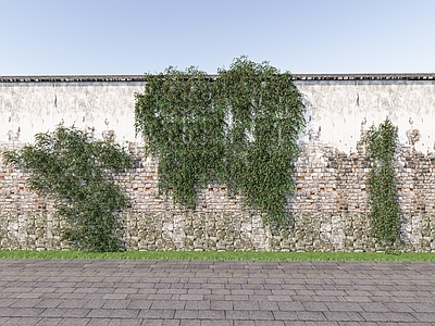 乡村本土藤本植物 爬藤植物 垂挂植物 庭院植物 绿植墙