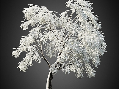 冰雪树 积雪树 冬季树