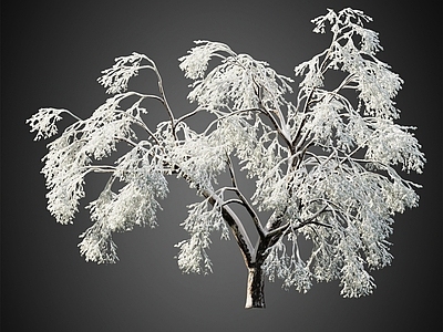 冰雪树 积雪树 冬季树